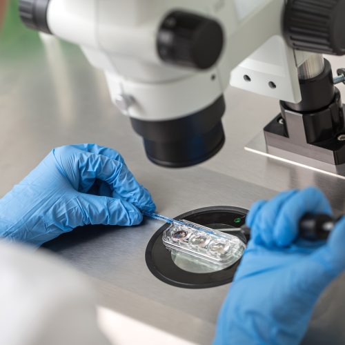 A person wearing blue gloves uses lab instruments to manipulate samples under a microscope on a stainless steel work surface, with laboratory tubes visible nearby.