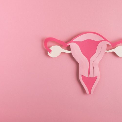 A paper cutout of a uterus in shades of pink and white is displayed on a solid pink background.