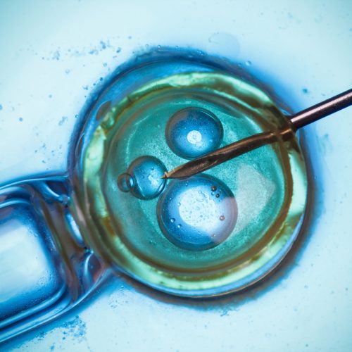A close-up image of a needle injecting a cell, likely during in vitro fertilization, with blue and green coloring highlighting the cell and its internal structures.