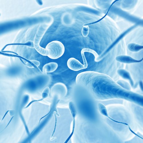 Close-up, blue-tinted illustration showing multiple sperm cells swimming toward an egg, representing the process of fertilization.