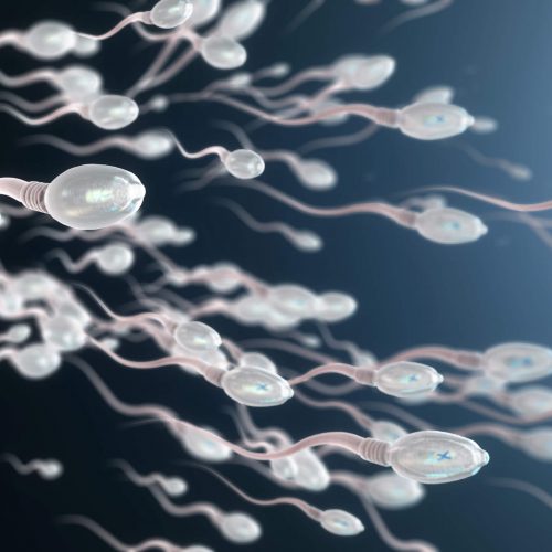 Digital illustration of multiple sperm cells swimming toward the right, with some carrying X chromosomes and others carrying Y chromosomes, depicted by blue letters inside their heads, against a dark gradient background.