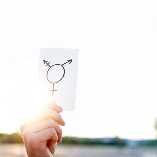 A hand holds up a white card with a transgender symbol drawn on it, against a bright, sunlit outdoor background.