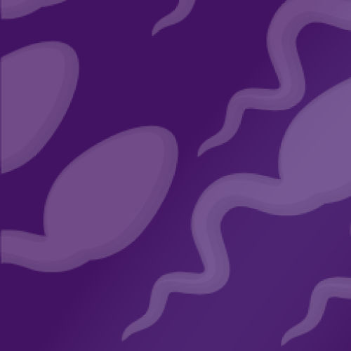 What-is-a-Semen-Analysis-1024-x-245-px-1