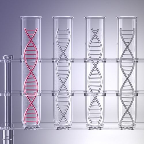 A row of transparent test tubes contains DNA double helix structures inside. The first test tube on the left has a glowing red DNA strand, while the others contain grey DNA strands.