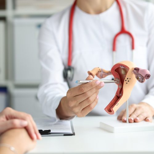 A doctor in a white coat with a red stethoscope points to a model of the female reproductive system while speaking to a patient across the desk.