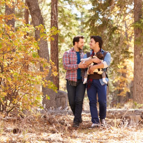 Two men walk through a sunlit forest, smiling at each other. One man is holding a baby in a carrier. Autumn leaves and tall trees surround them, creating a warm, natural setting.
