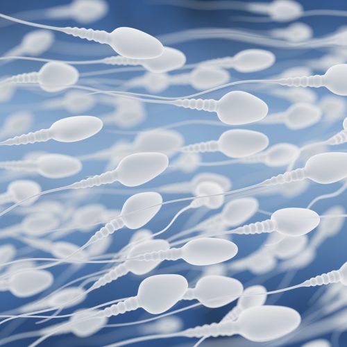 Illustration of numerous white sperm cells swimming in various directions on a blue background, symbolizing reproduction or fertility.