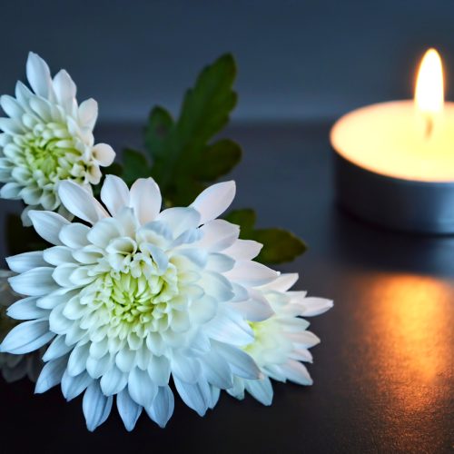 White chrysanthemums with green centers are arranged next to a lit tealight candle on a dark surface, creating a calm and serene atmosphere.