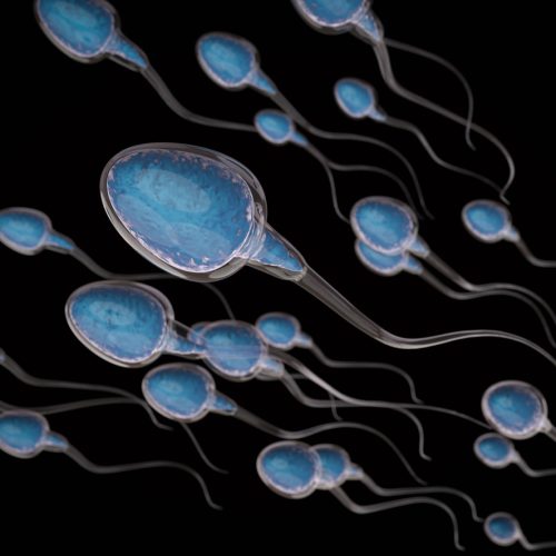 Illustration of multiple blue-colored sperm cells with long tails swimming in a black background, symbolizing fertilization or reproduction.