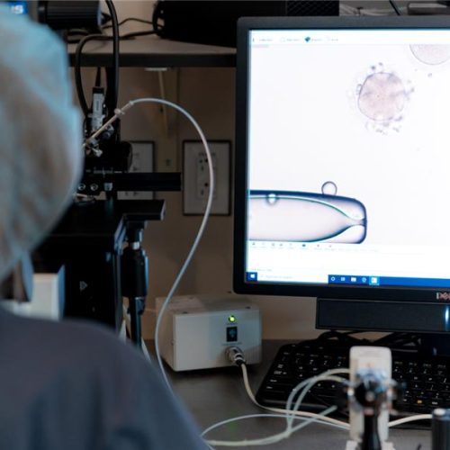 PGT-A at CCRM Fertility IVF lab